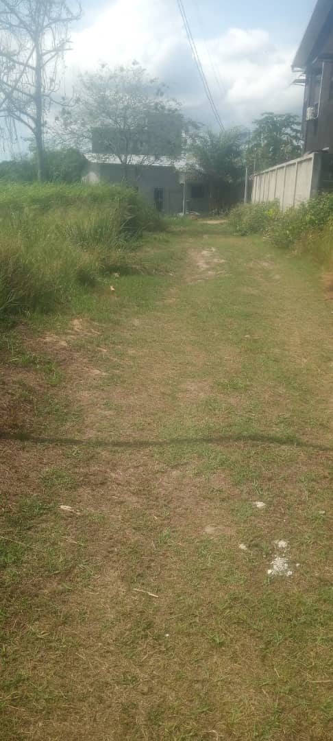 TERRAIN A VENDRE
