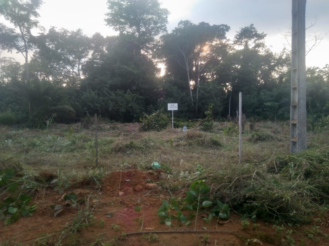TERRAIN A VENDRE
