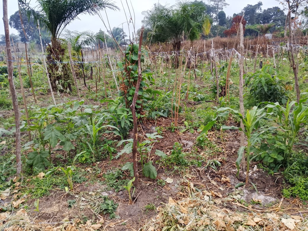TERRAIN A VENDRE