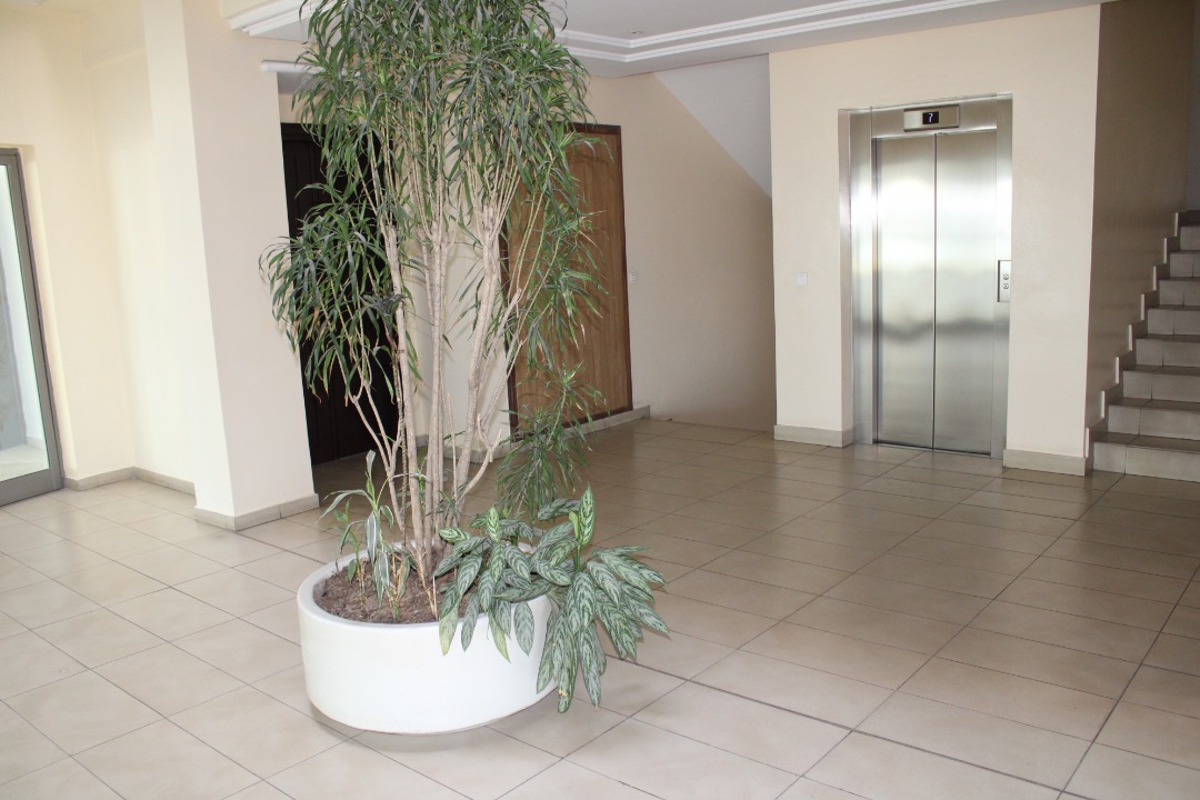 Open Space 2eme étage 