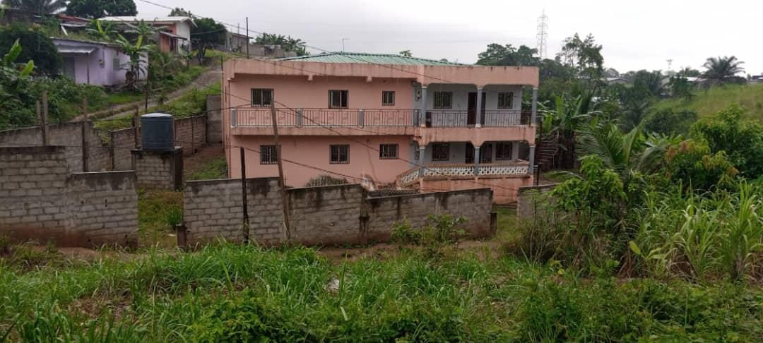 BÂTIMENT R+1 A VENDRE 