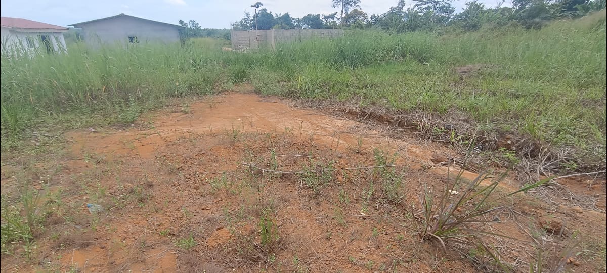 TERRAIN / VENTE 
