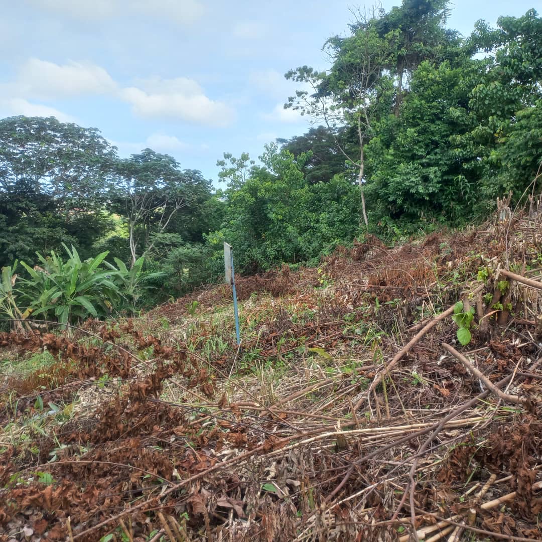 TERRAIN / VENTE 