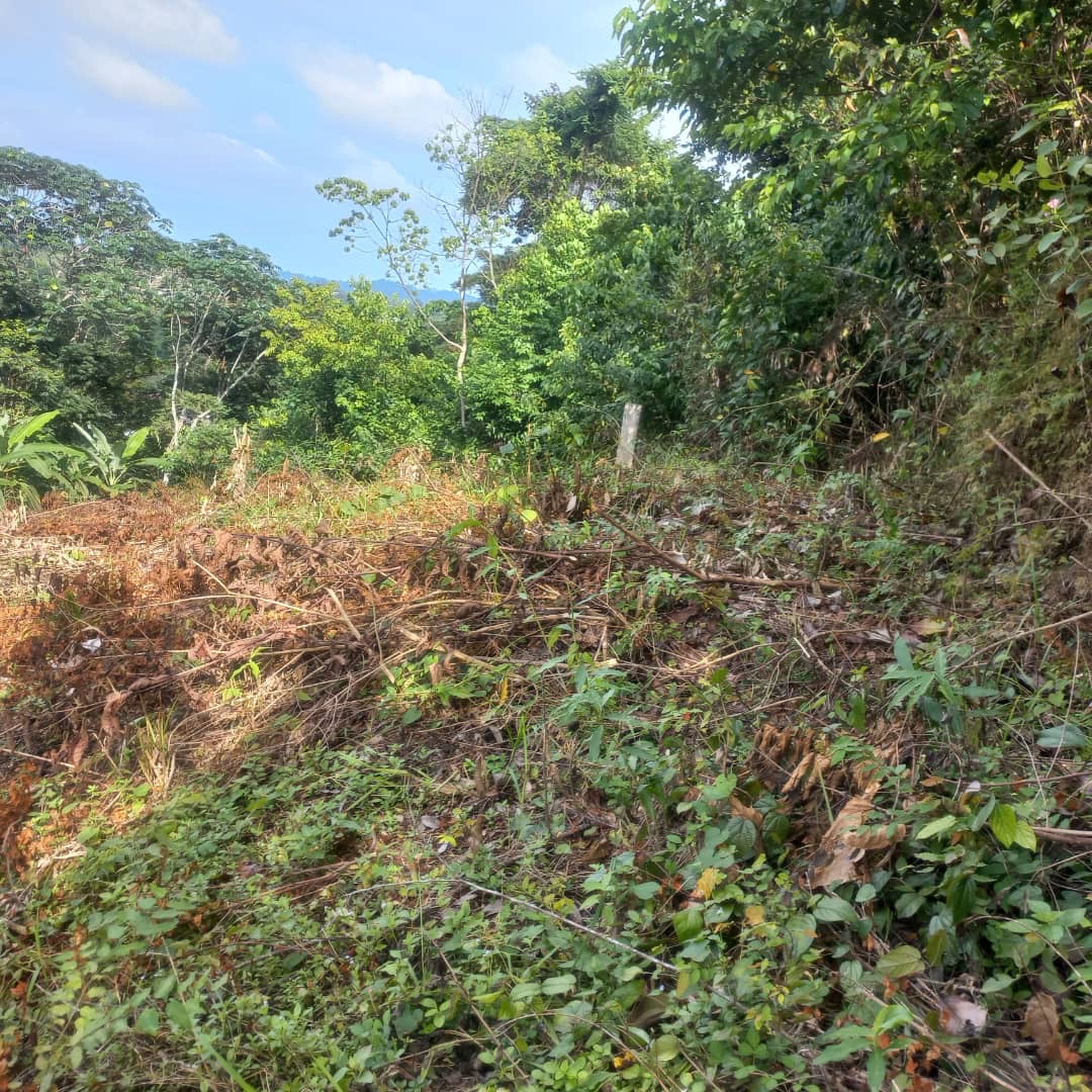 TERRAIN / VENTE 