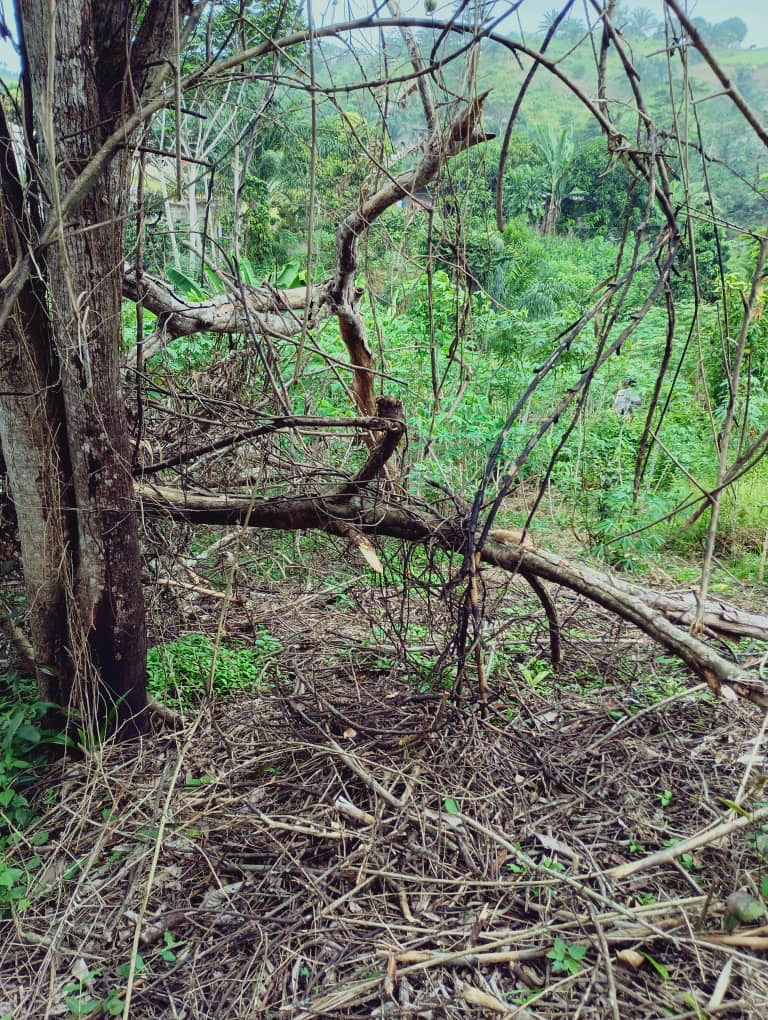 TERRAIN / VENTE 