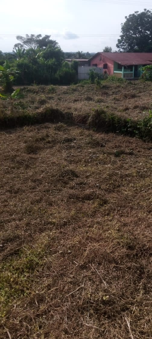TERRAIN / VENTE 