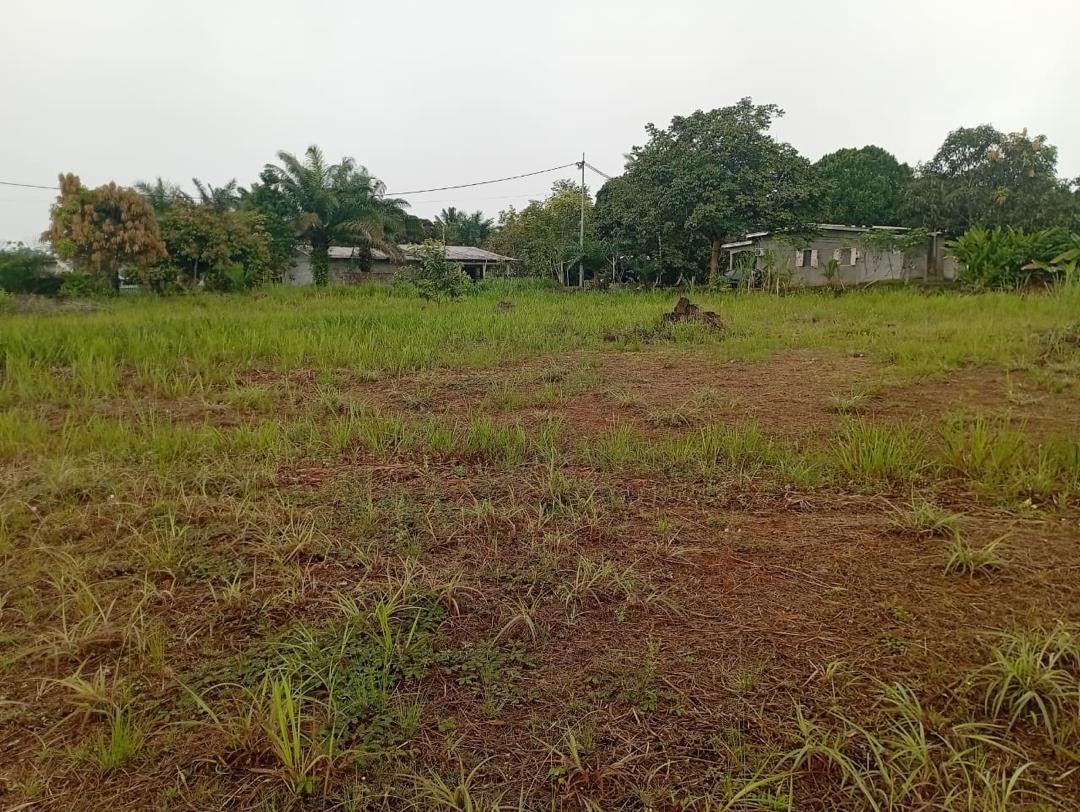 TERRAIN / VENTE 