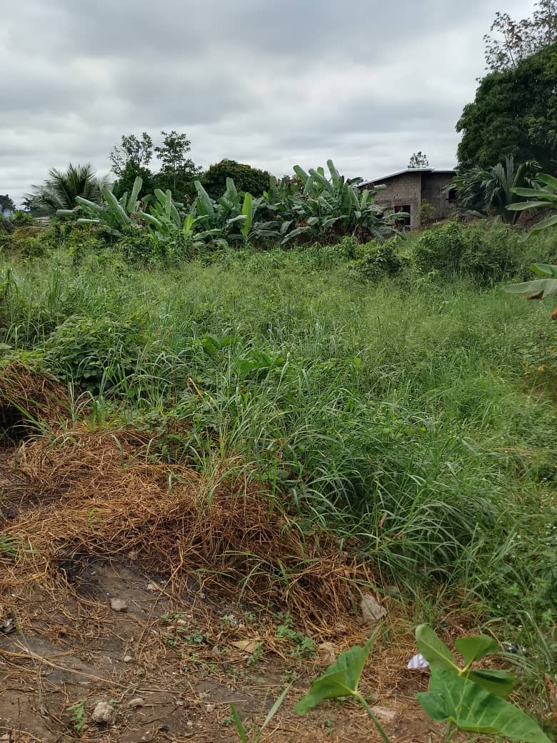 TERRAIN A VENDRE 
