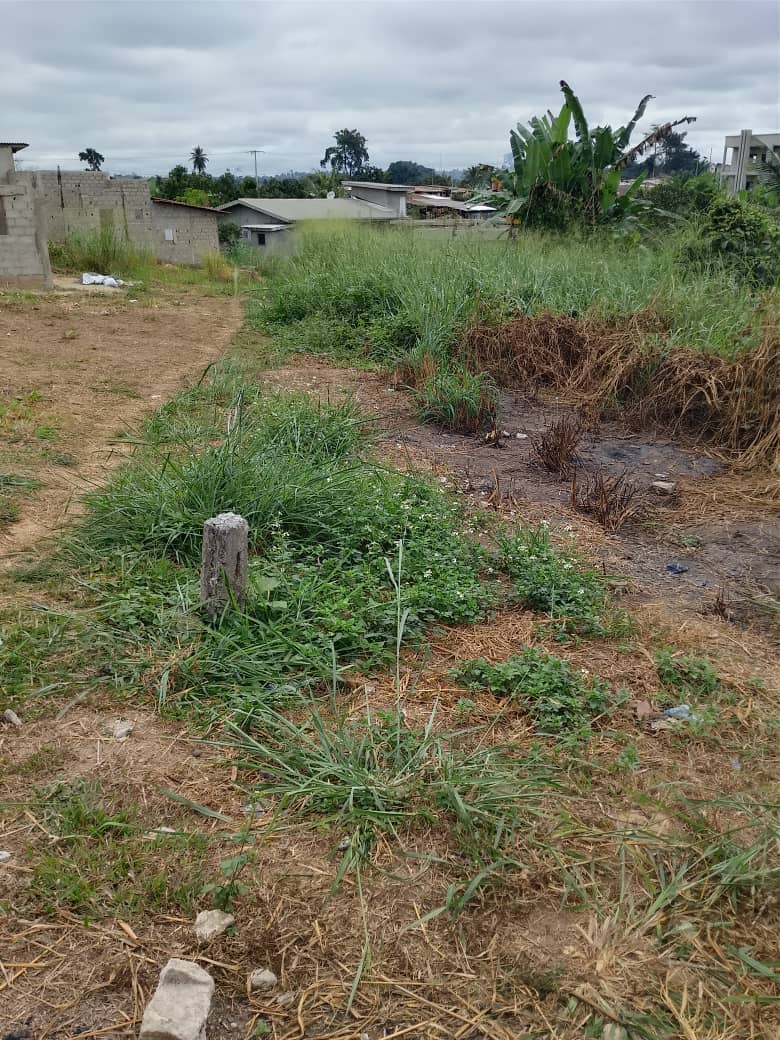 TERRAIN A VENDRE 