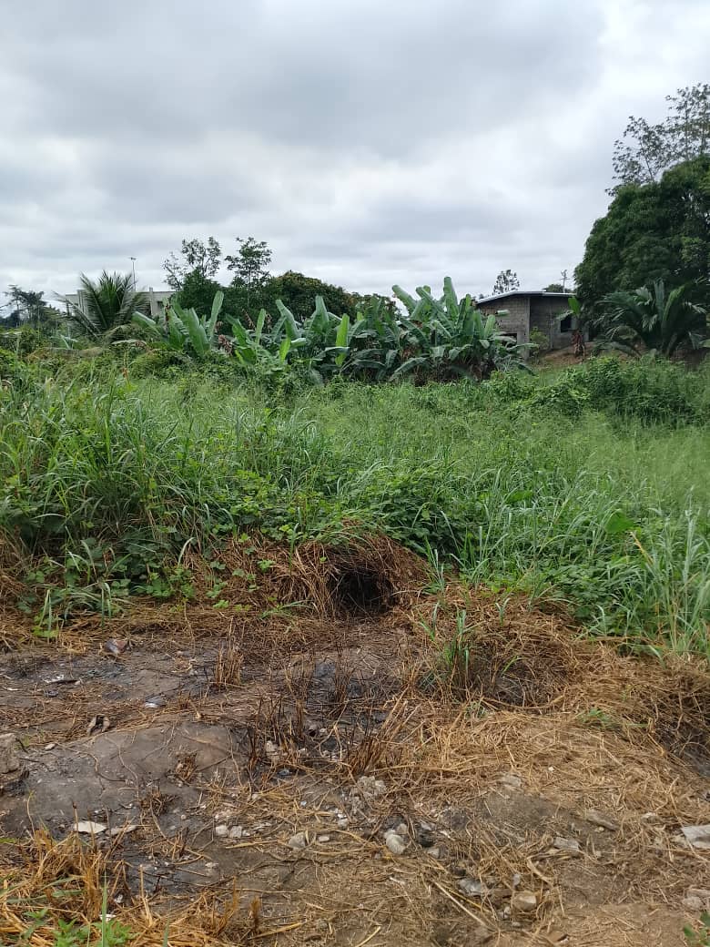 TERRAIN A VENDRE 