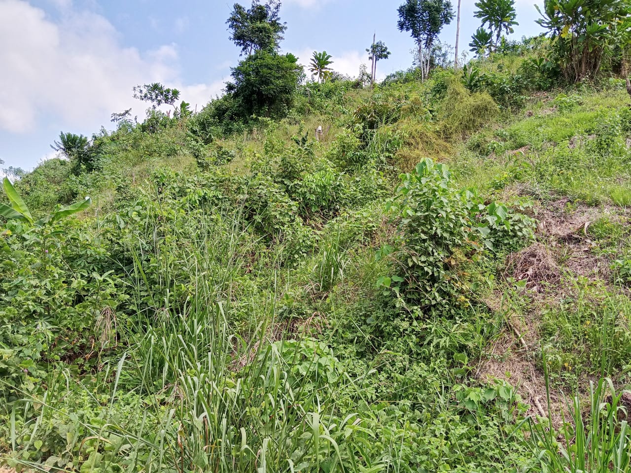 TERRAIN A VENDRE 