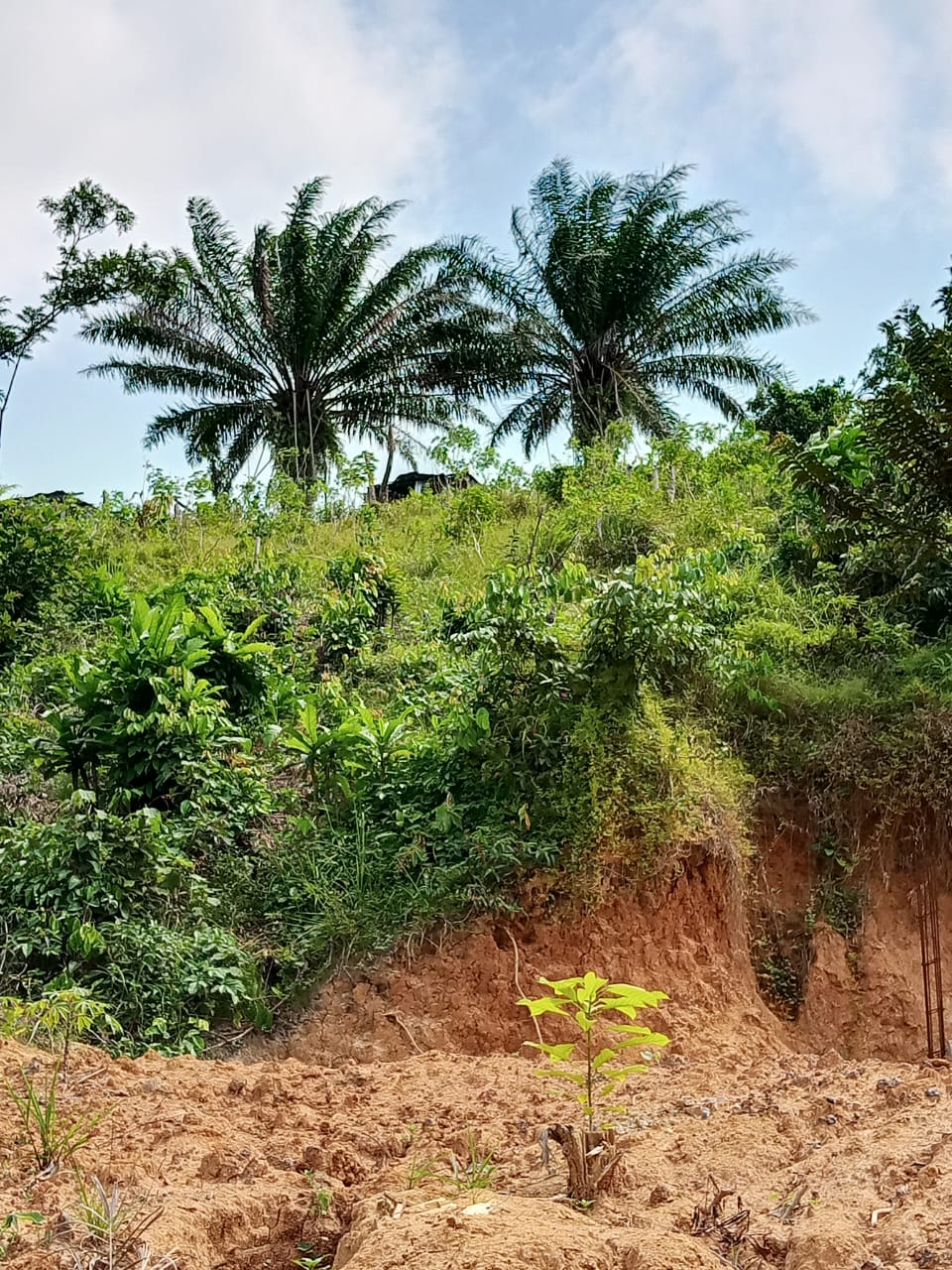 TERRAIN A VENDRE 