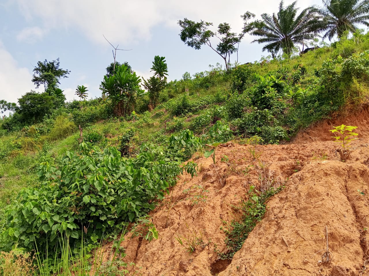 TERRAIN A VENDRE 