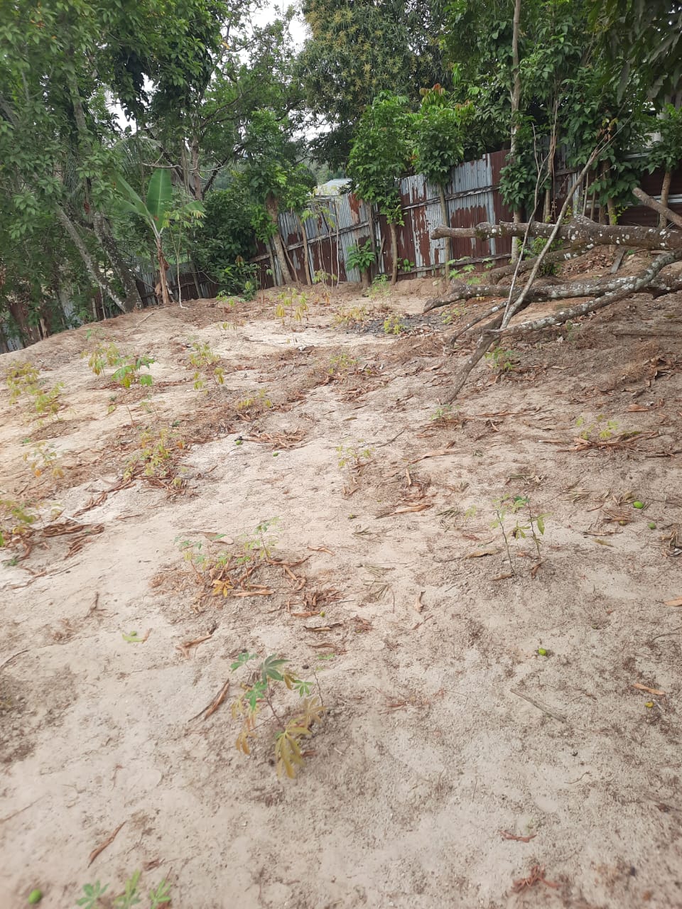 TERRAIN A VENDRE 