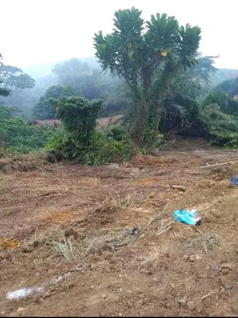 TERRAIN A VENDRE 