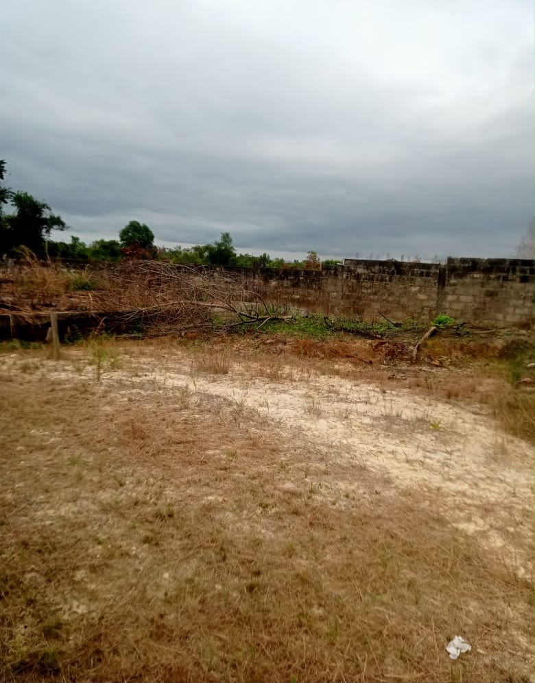 TERRAIN A VENDRE