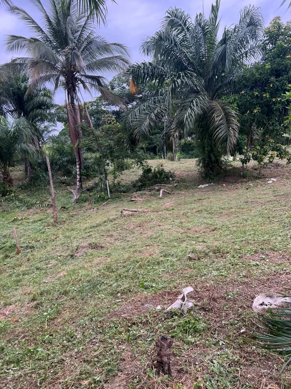 TERRAIN A VENDRE