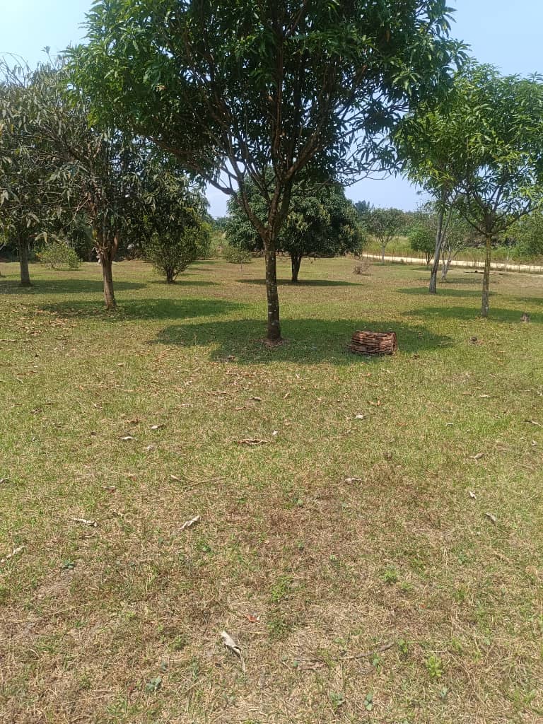 TERRAIN A VENDRE