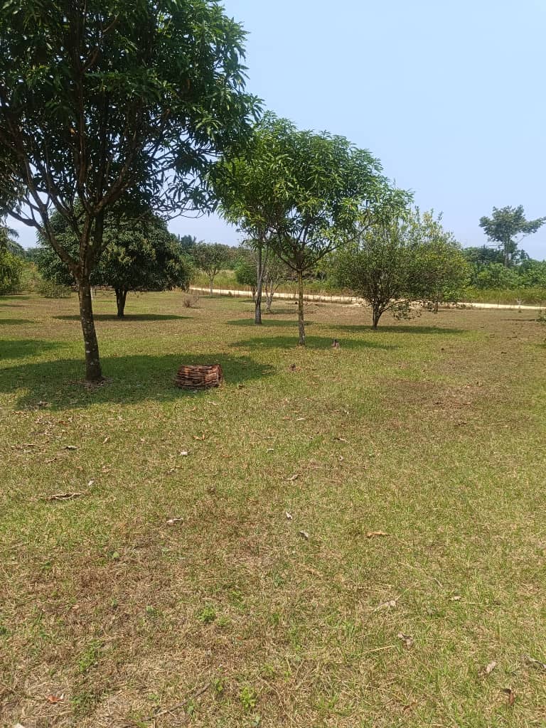 TERRAIN A VENDRE