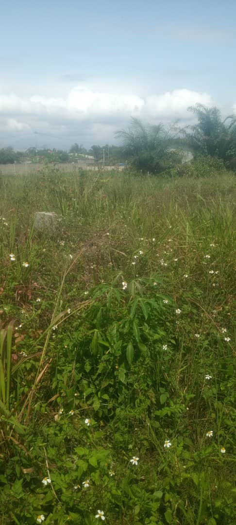 TERRAIN A VENDRE