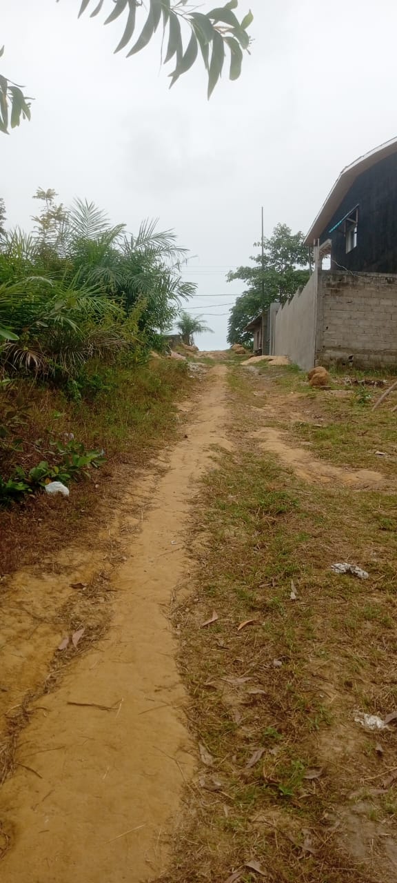 TERRAIN A VENDRE