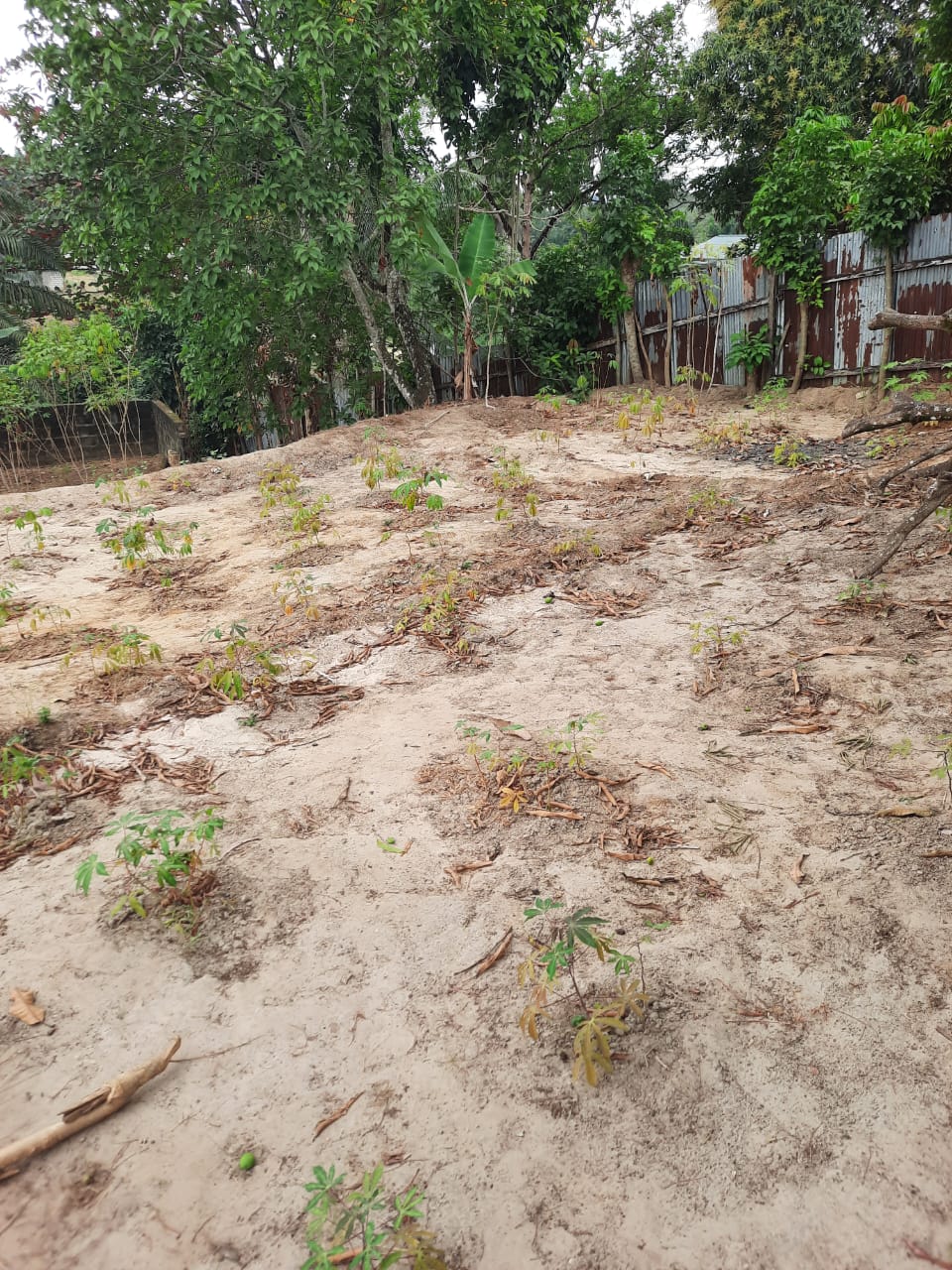 TERRAIN A VENDRE 