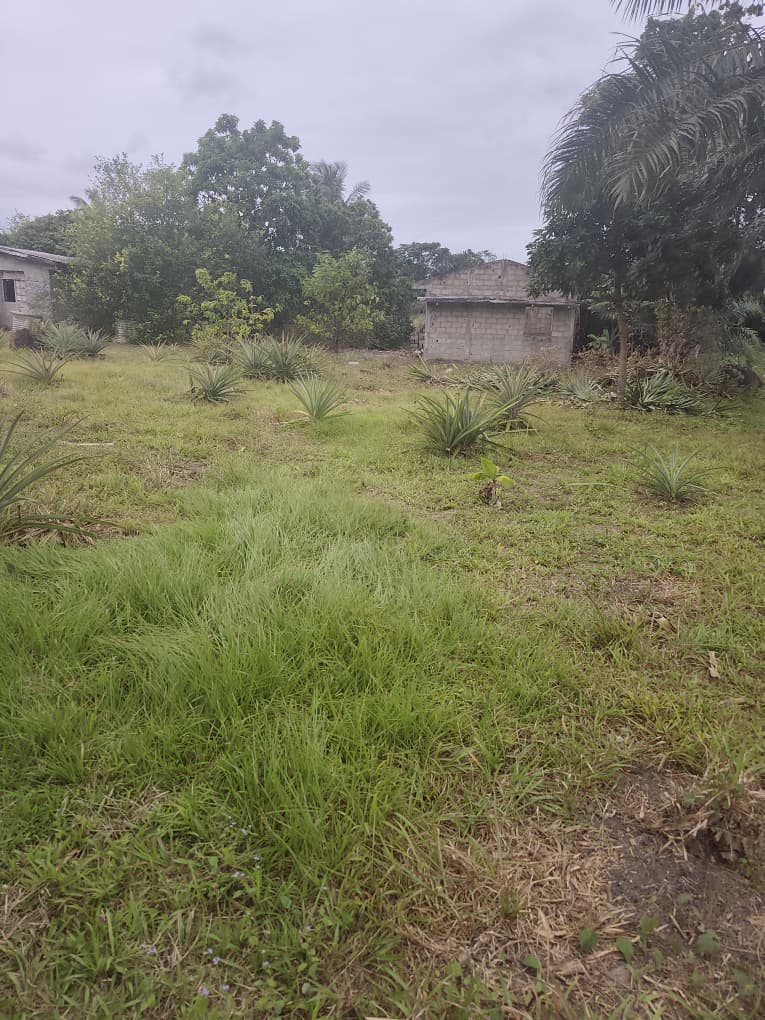 TERRAIN A VENDRE