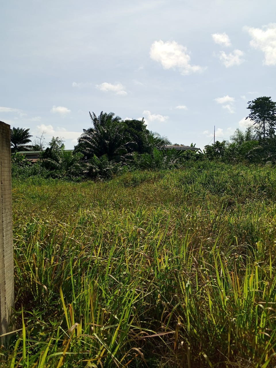 TERRAIN / VENTE 