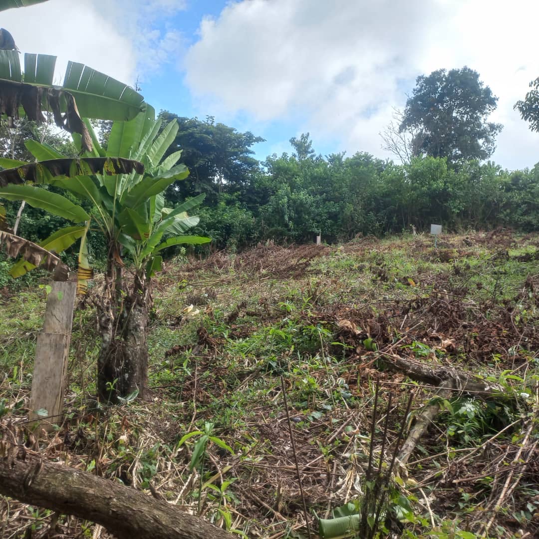 TERRAIN / VENTE 