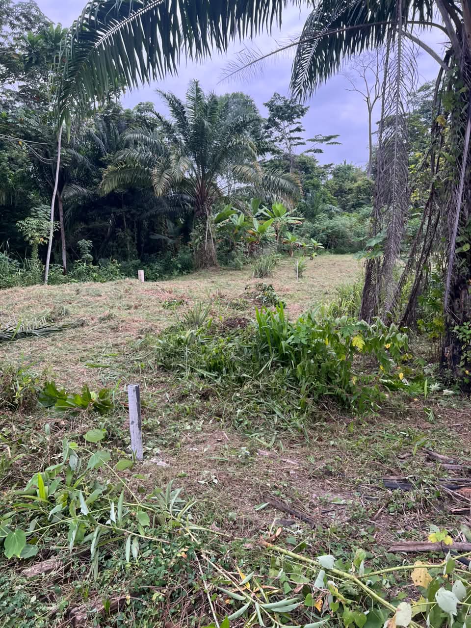 TERRAIN A VENDRE