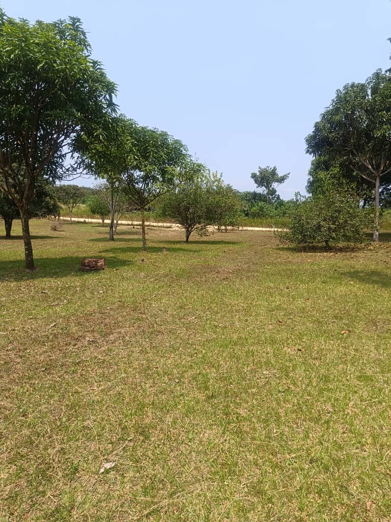 TERRAIN A VENDRE