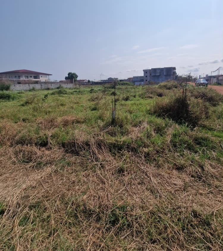 TERRAIN A VENDRE 